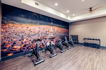 A gym with exercise bikes at Bridge at Henley, Texas, 78741